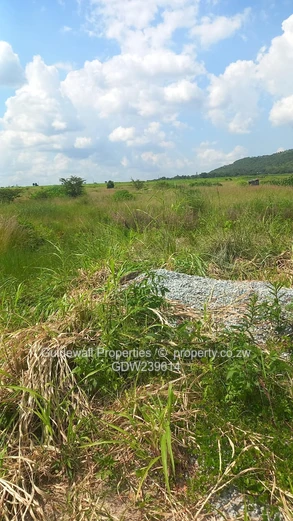 Stand for sale in Haydon Park