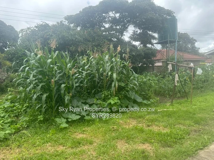 Emerald Hill House To Let