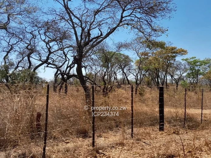 2.00Ha AGRO-PLOTS Available in Beatrice (Sole Mandate)