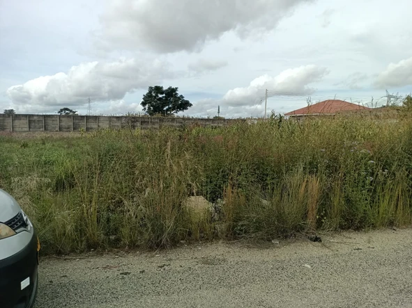 Stands & Residential Land