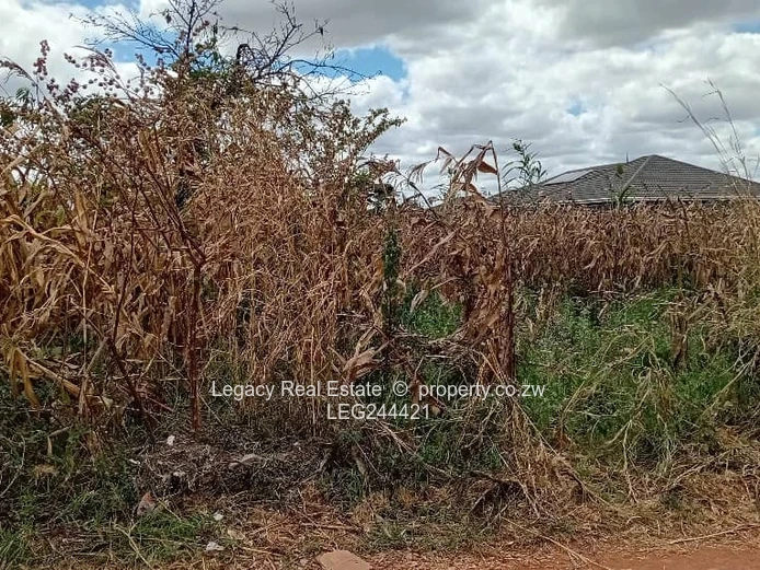 Good Investment Opportunity