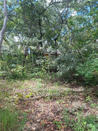 Lifestyle In Close Proximity To Nature!