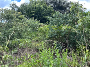 Commercial & Industrial Land