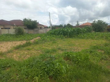 Stands & Residential Land