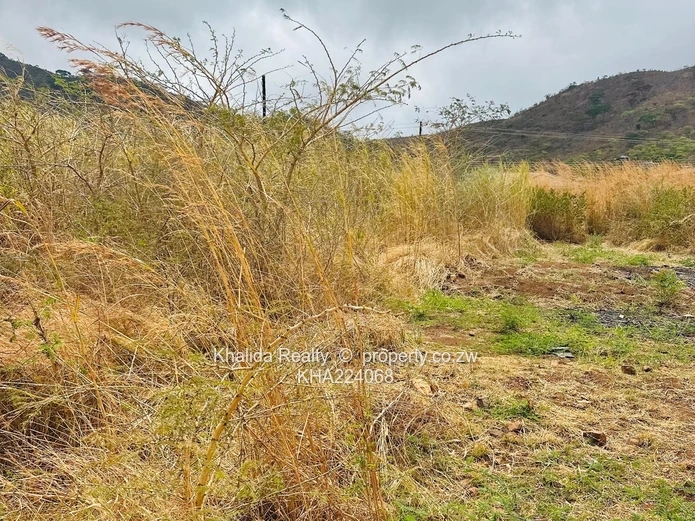 Mutare Weirmouth stands x3 for sale