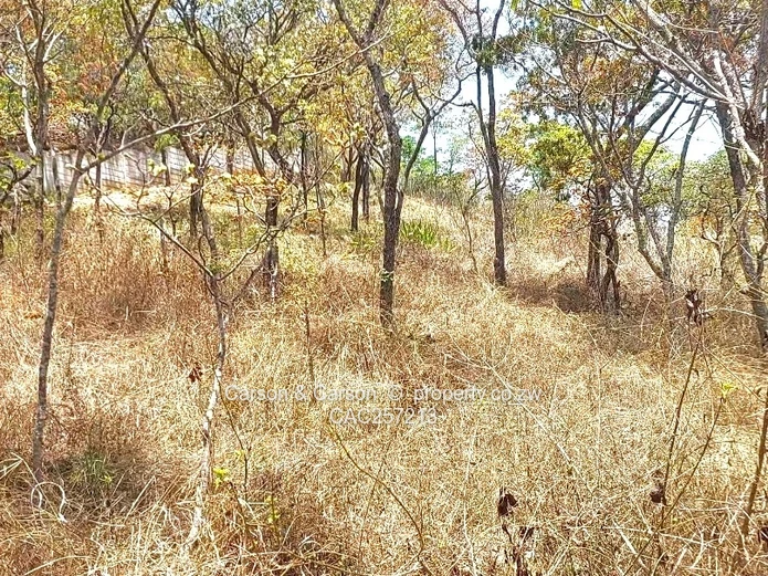 Mature Neighbourhood 