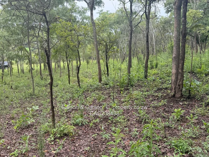 Vacant residential stand for sale in Umwinsidale 