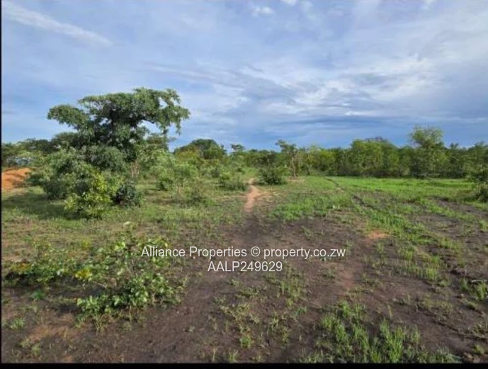 Kadoma: 1.96Ha Commercial Plot with 150m² Shell & Water Towers