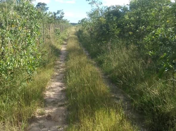 Farm & Agricultural Land