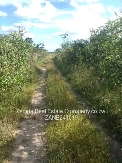 Beatrice Plot for sale