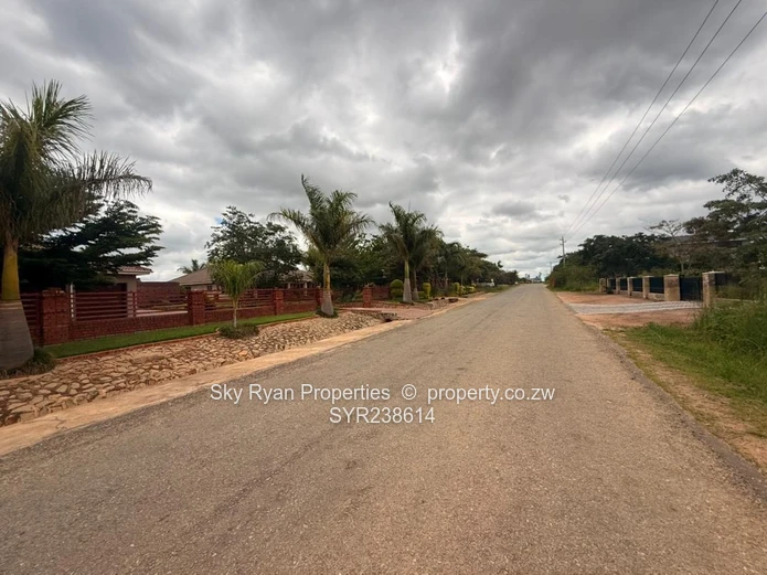 Arlington Stand For Sale