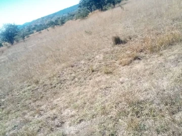 Farm & Agricultural Land