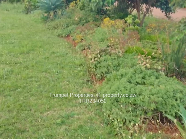 Plot For Sale (Sole Mandate)