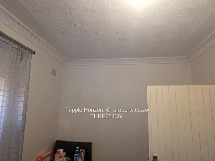 Great investment 