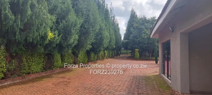 Spacious 5-Bedroom Modern Home