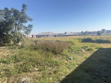 Stands & Residential Land