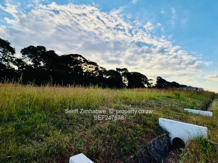 Pomona City Stand- Ready to build (Sole Mandate)