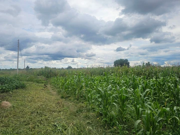 Commercial & Industrial Land