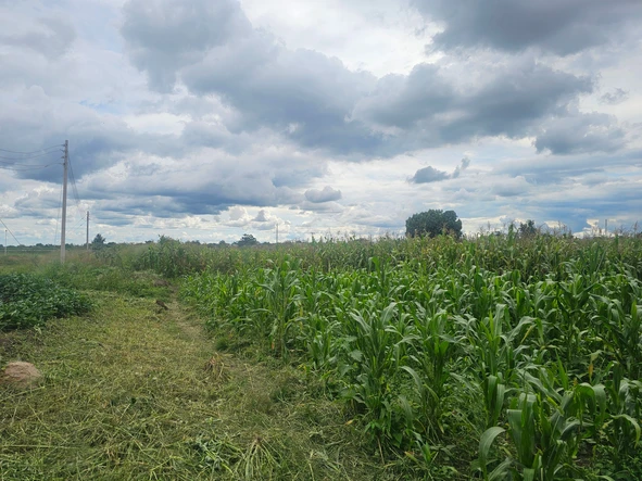 Commercial & Industrial Land