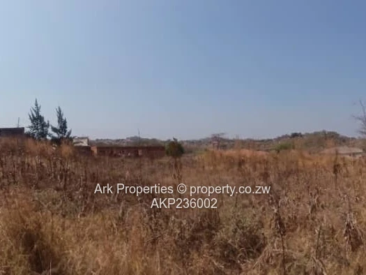 Stand in Charlotte Brooke 