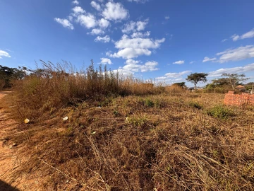 Farm & Agricultural Land