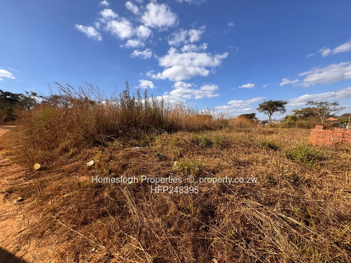 Norton Lidiate Agro Residential Plots For Sale  (Sole Mandate)
