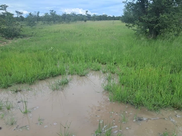 Farm & Agricultural Land