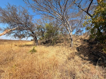 Commercial & Industrial Land