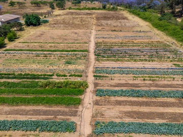 Farm & Agricultural Land