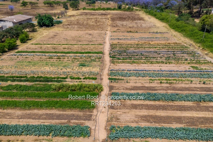 Agricultural plot to let