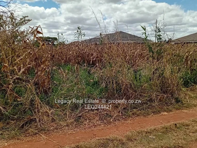 Good Investment Opportunity