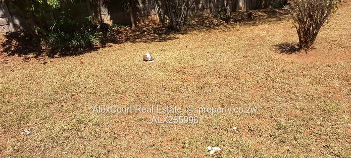 Subdivided Stand in Greystone Park!