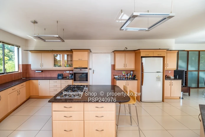 Architecturally Designed Modern Masterpiece