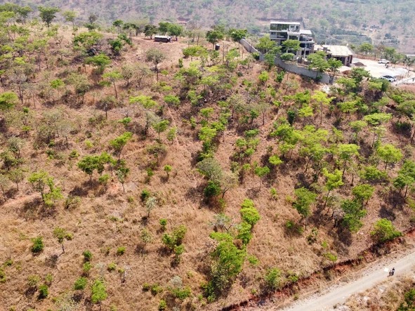 Stands & Residential Land