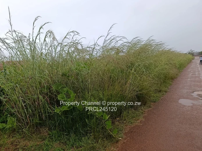 Prime 2,279sqm Stand for Sale in Mt Pleasant Heights – Ideal for Your Dream Home or Investment