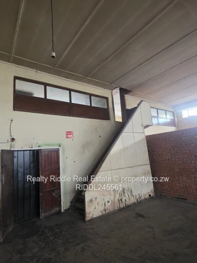 Investment Opportunity 