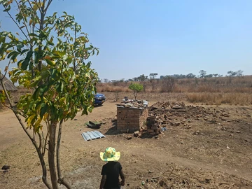 Farm & Agricultural Land