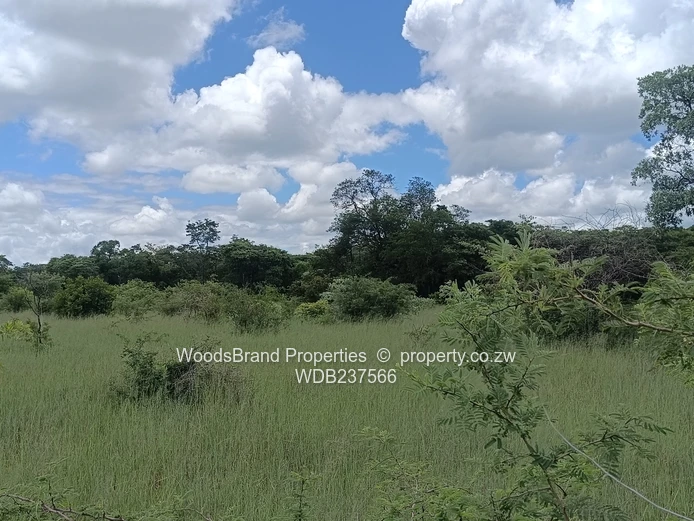 Chegutu, Dorton Plots For Sale