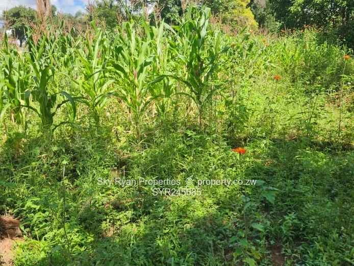 Greystone Park Property For Sale 