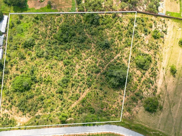 Farm & Agricultural Land