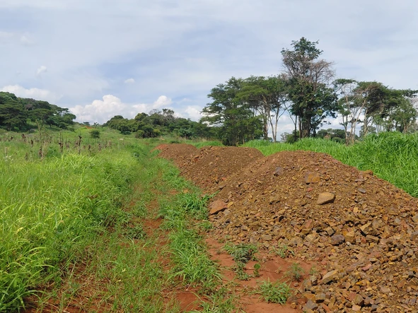 Stands & Residential Land