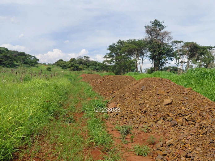 New dream awaits secure your stand in Tynwald South