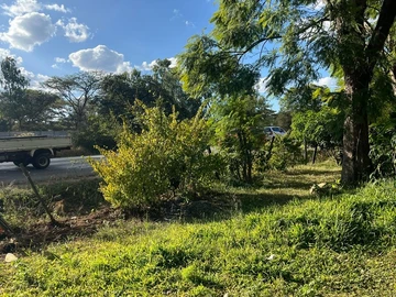 Farm & Agricultural Land