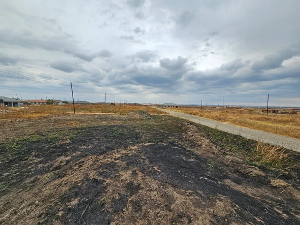 Stands & Residential Land