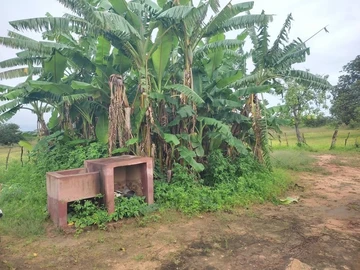 Farm & Agricultural Land