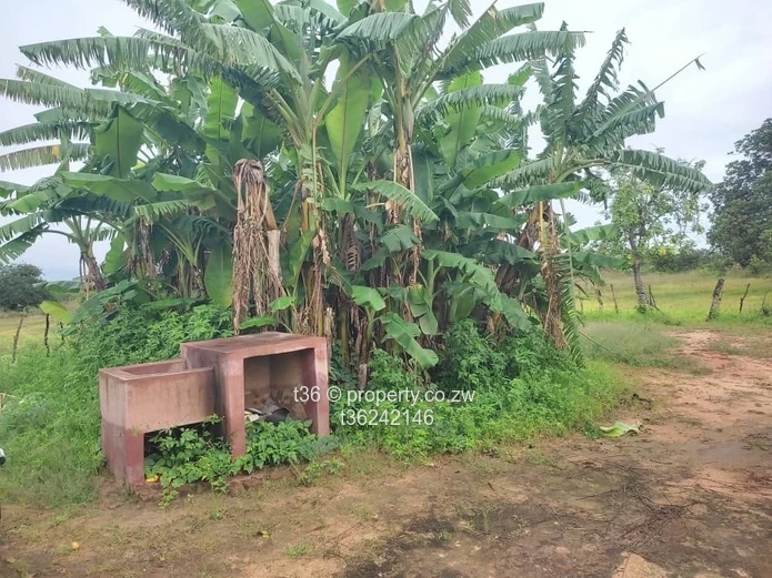 Beautiful musha for retirement and projects (Sole Mandate)