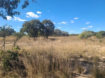 Farm & Agricultural Land