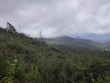 Land