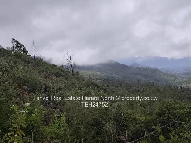*NYANGA 5 HECTARES PLOT FOR SALE.*  10 mins drive from PACKSHADE INN 