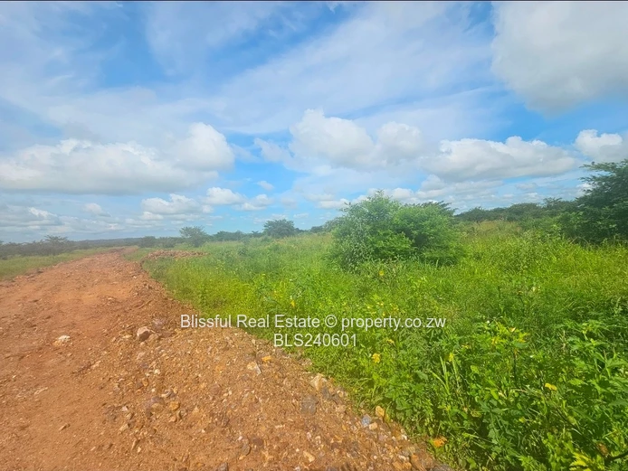 Stands for sale in Doornfontein 